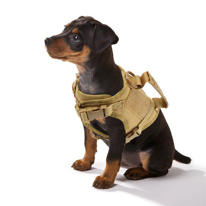 Harnais Petit Chien Tactique Léger