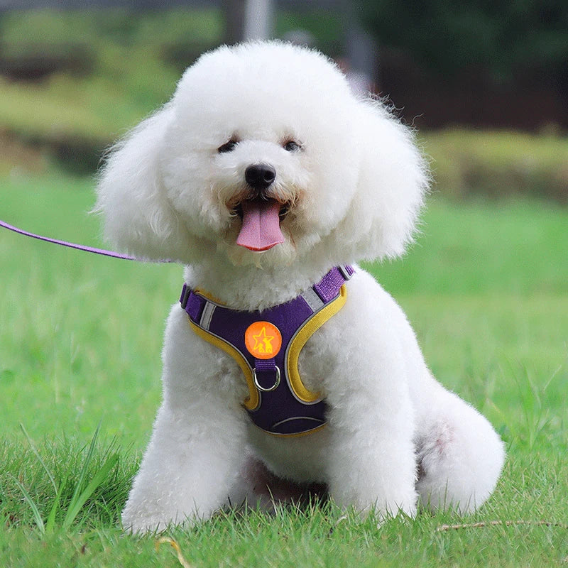 Harnais Chiot Souple Respirant