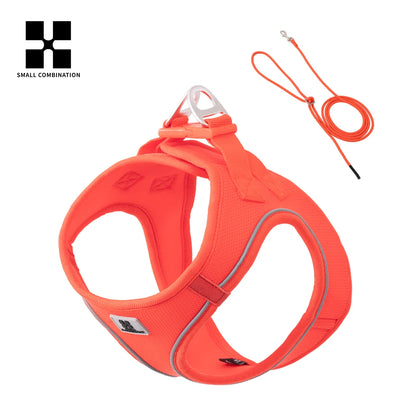 Harnais Chiot Respirant Multicolore