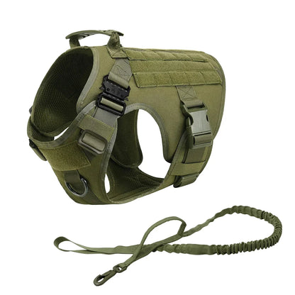 Harnais Tactique Chien Molle