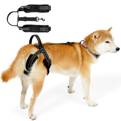 Sangle Chien Handicapé Noire