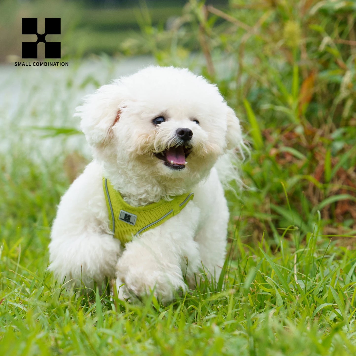 Harnais Chiot Respirant Multicolore