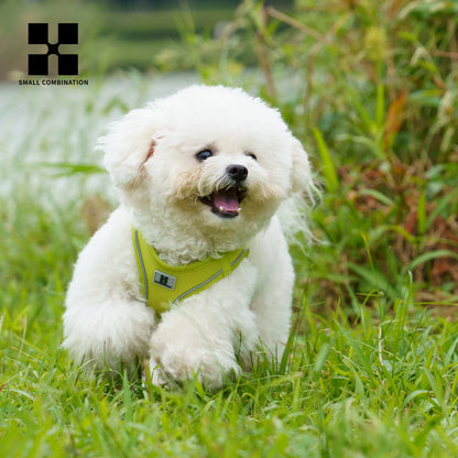 Harnais Chiot Respirant Multicolore