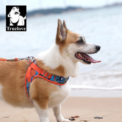 Harnais Petit Chien Motif Respirant