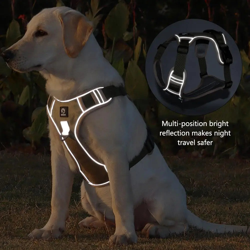 Harnais Tactique Chien Oxford