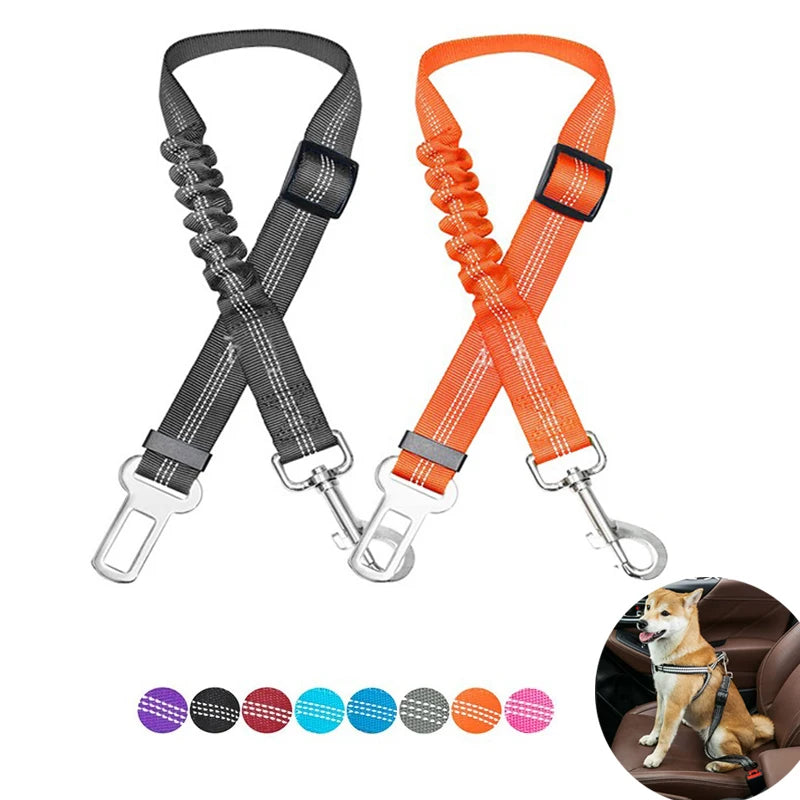 Ceinture Chien Voiture Élastique