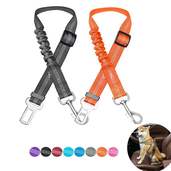 Ceinture Chien Voiture Élastique