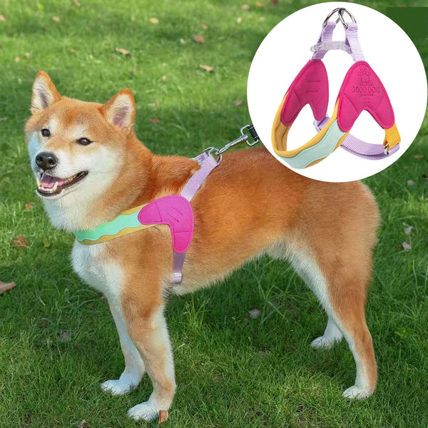 Harnais Chien Y Macaron
