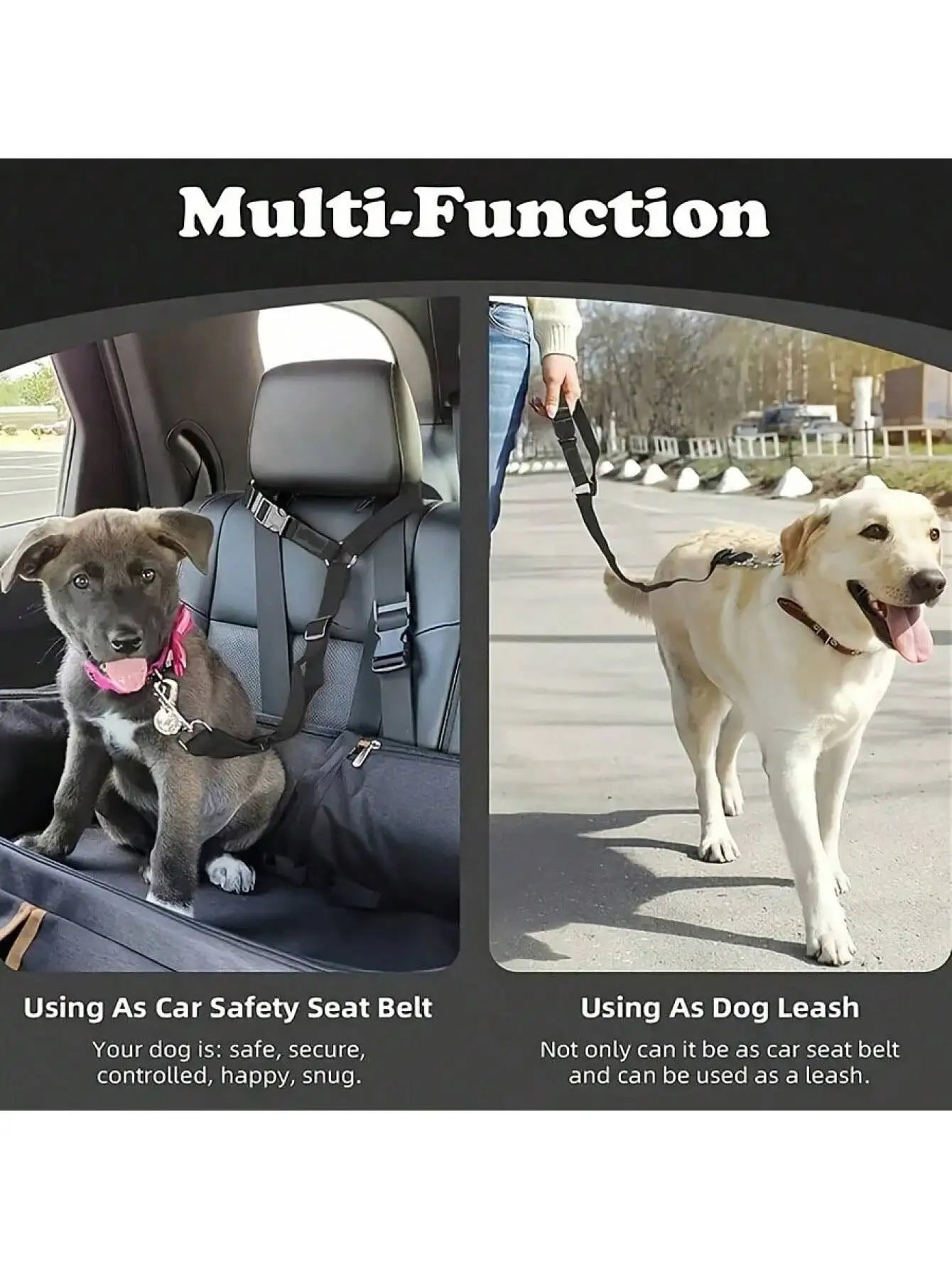 Attache Chien Voiture Appuie-Tête