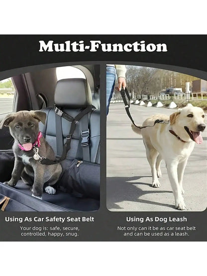Attache Chien Voiture Appuie-Tête