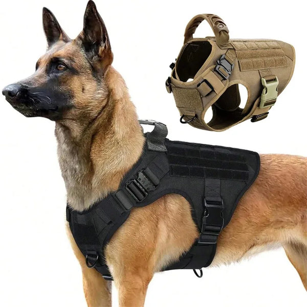 Harnais Tactique Chien Entraînement