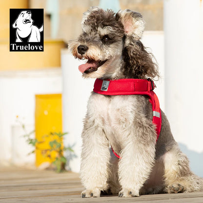Harnais Petit Chien Motif Respirant