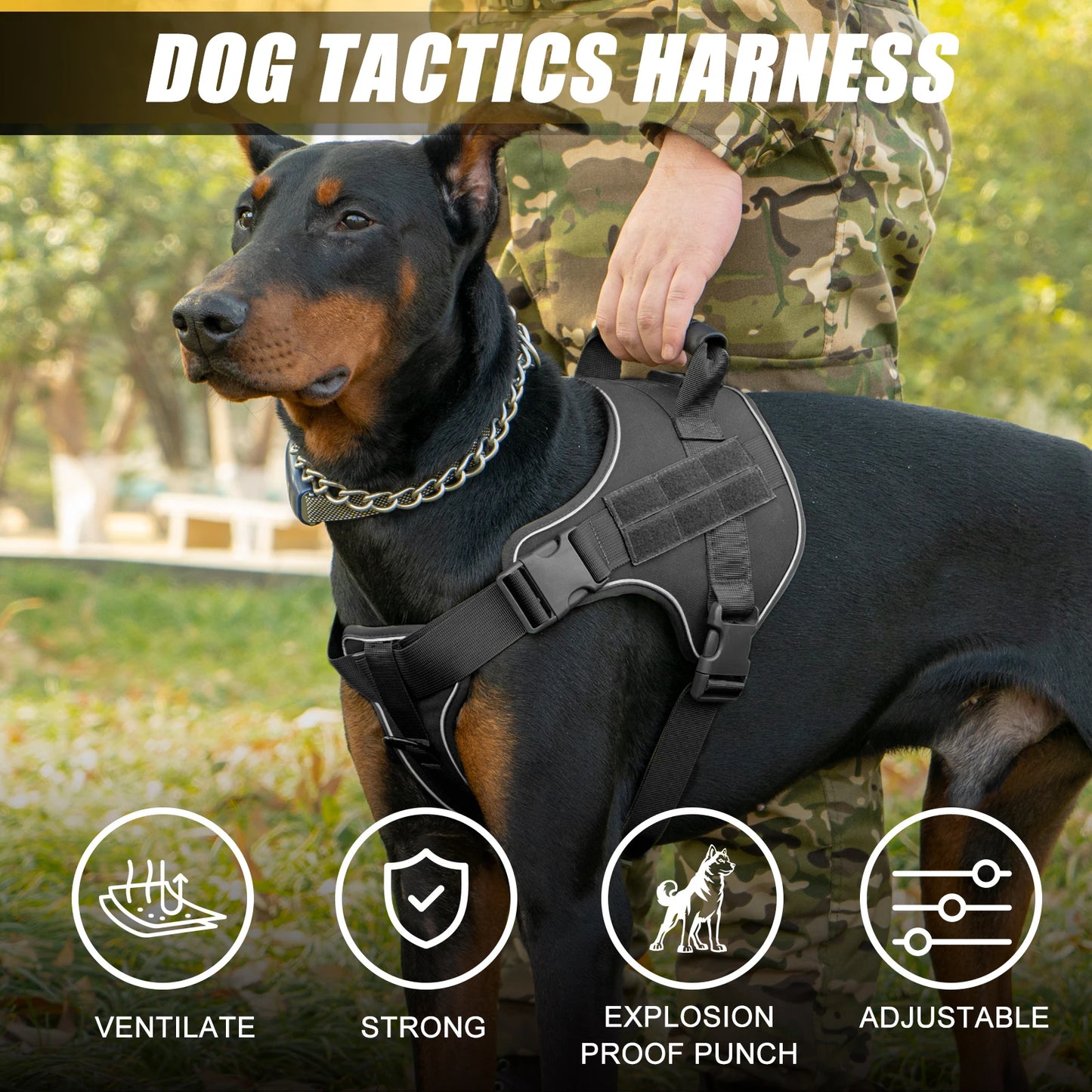 Harnais Tactique Chien Coloré