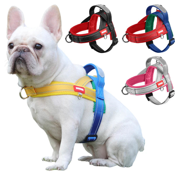 Harnais Petit Chien Selle Ajustable