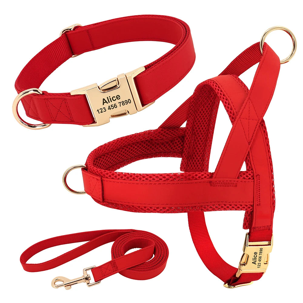 Harnais Petit Chien Set Ajustable