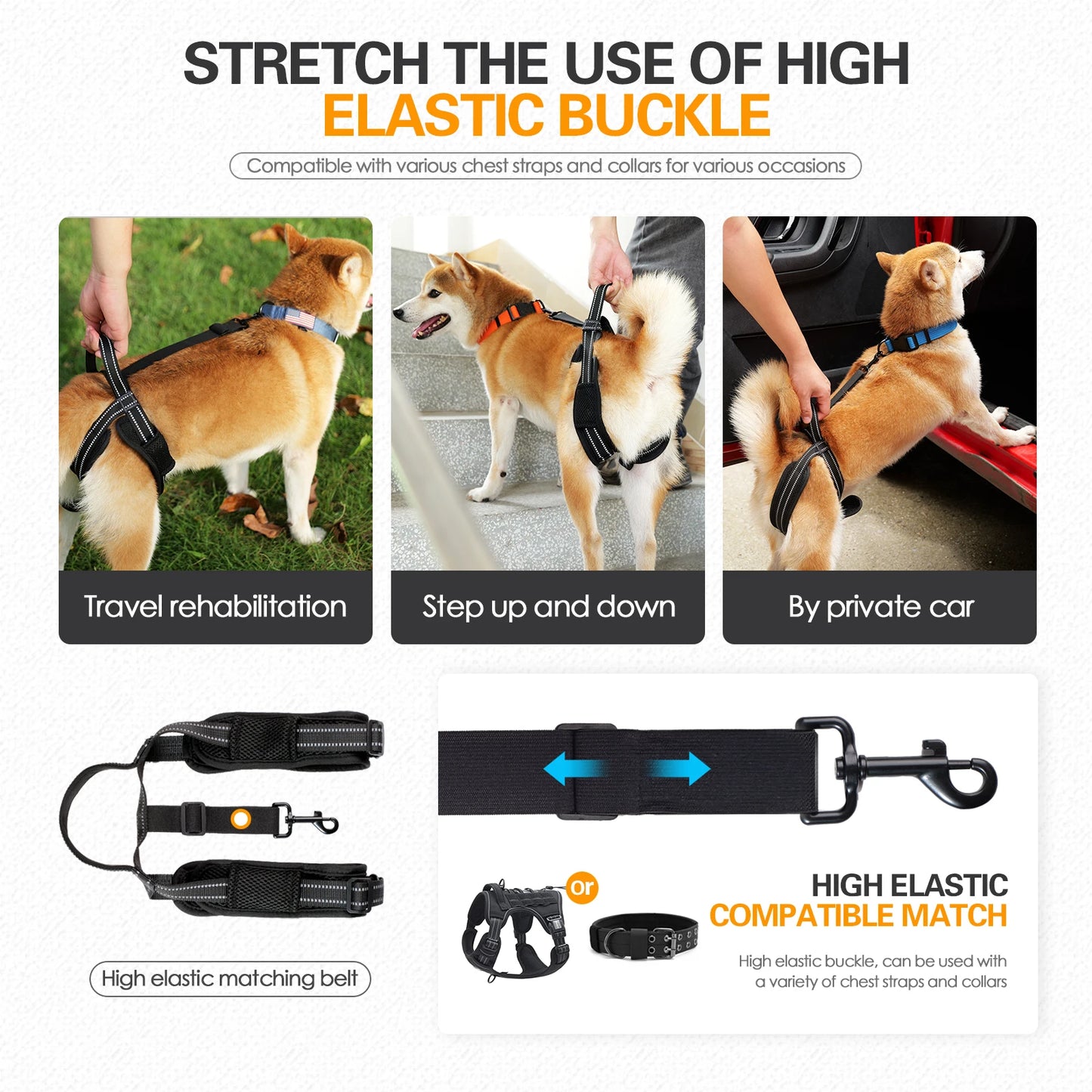 Sangle Chien Handicapé Noire