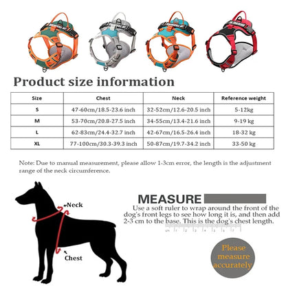Harnais Chien Actif Respirant