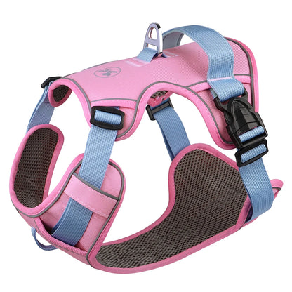 Harnais Petit Chien Maille Respirante