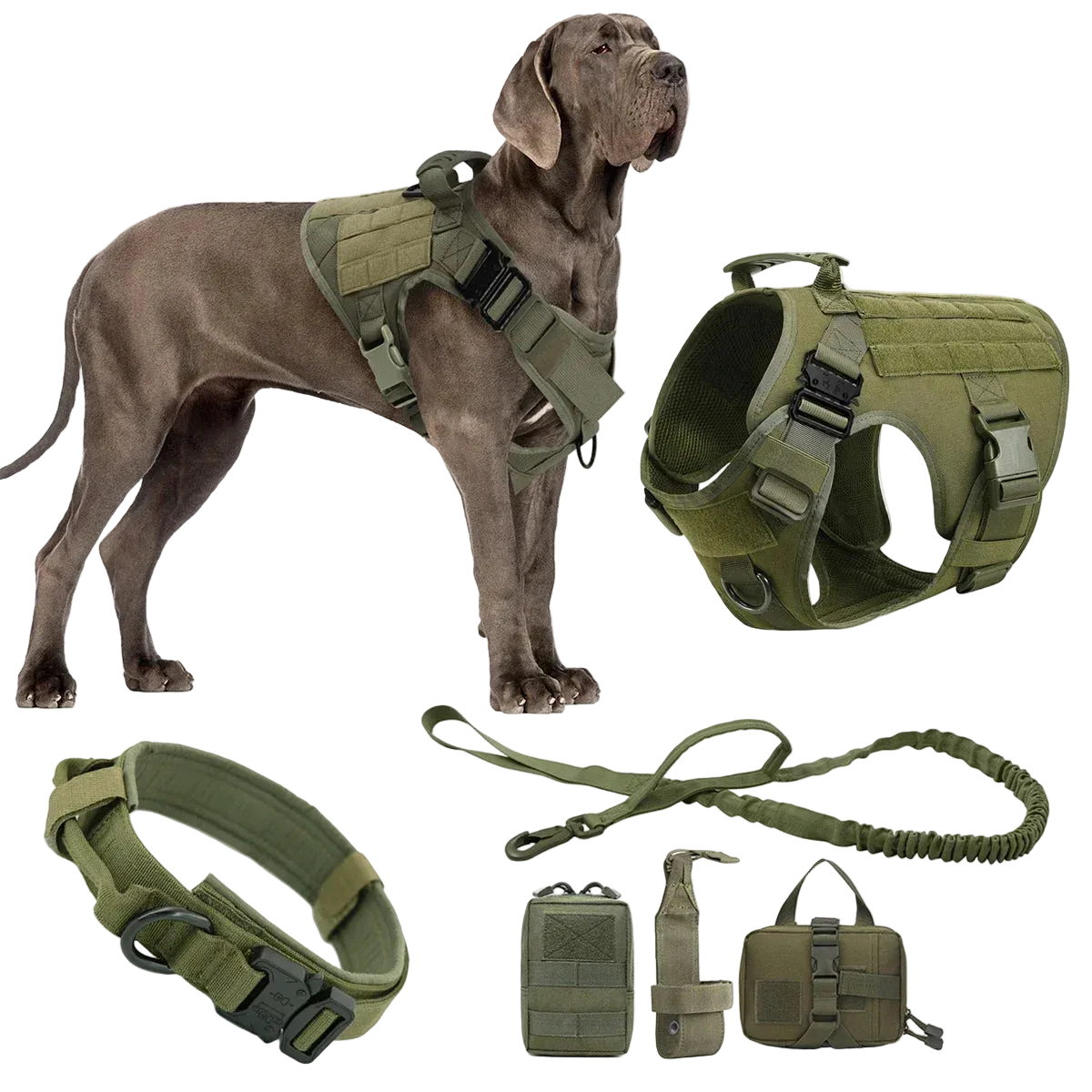 Harnais Tactique Chien Molle
