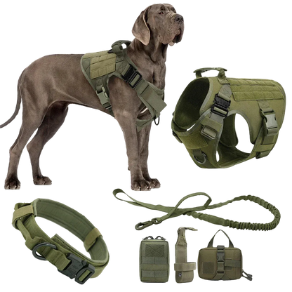 Harnais Tactique Chien Molle