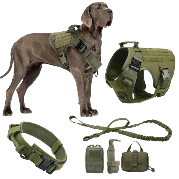 Harnais Tactique Chien Molle