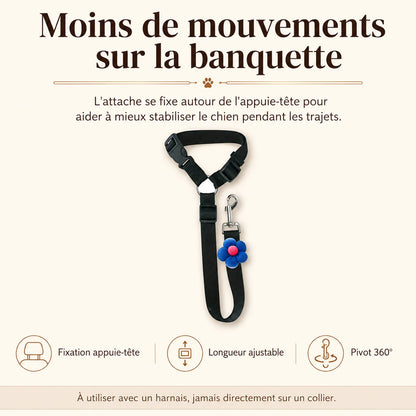 attache chien voiture appuie tete benefice principal