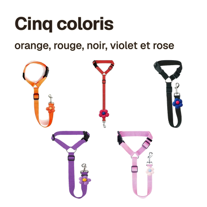 Attache chien voiture appuie-tête en cinq coloris : orange, rouge, noir, violet et rose