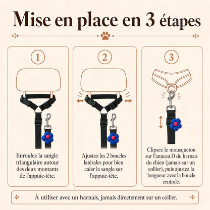 attache chien voiture appuie tete mise en place 3 etapes