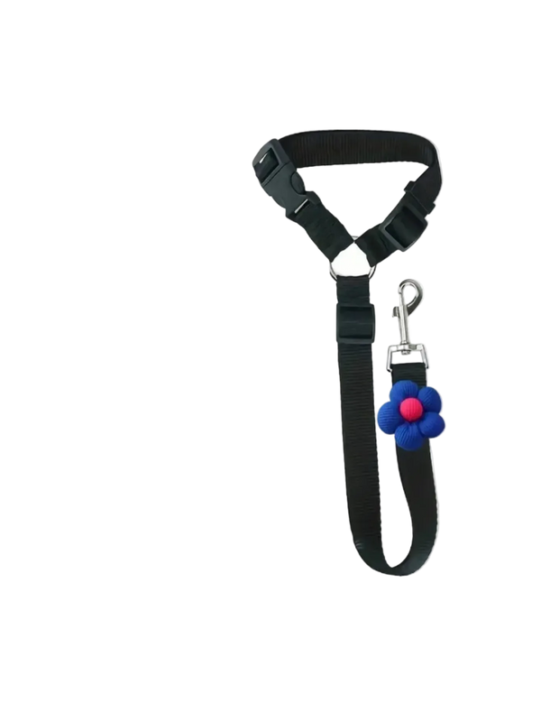 Attache chien voiture appuie-tête, sangle noire avec mousqueton