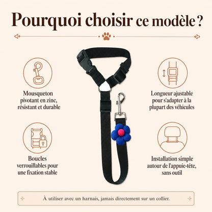 attache chien voiture appuie tete pourquoi choisir ce modele