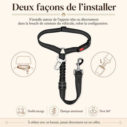 ceinture chien voiture 2 en 1 benefice principal