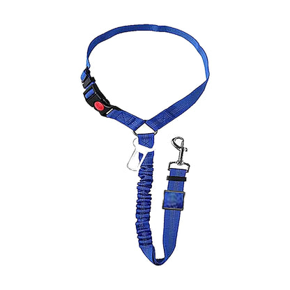 Ceinture chien voiture 2 en 1, coloris bleu