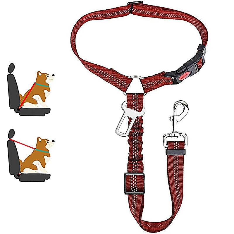 Ceinture chien voiture 2 en 1, coloris rouge bordeaux