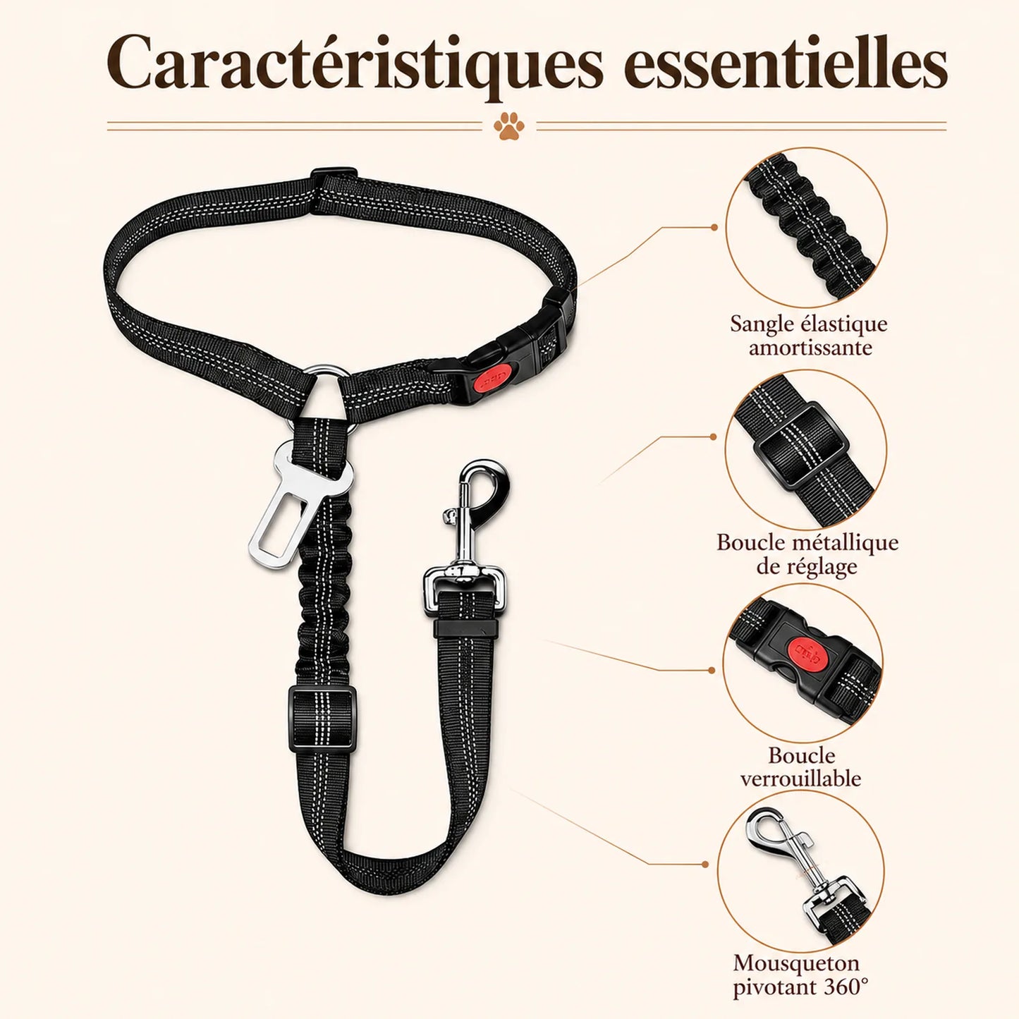 ceinture chien voiture 2 en 1 caracteristiques essentielles