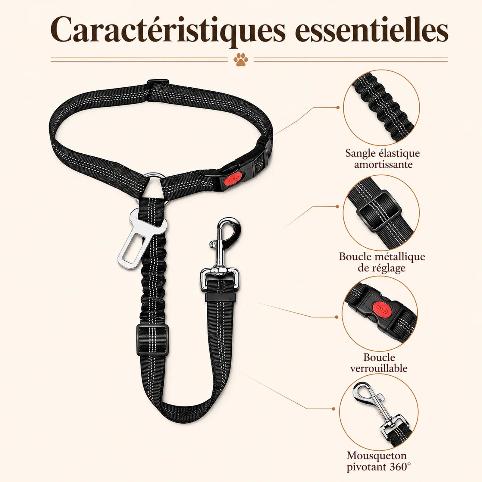 ceinture chien voiture 2 en 1 caracteristiques essentielles