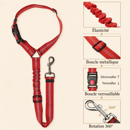 Ceinture Chien Voiture 2 en 1 - Détail élasticité et boucles