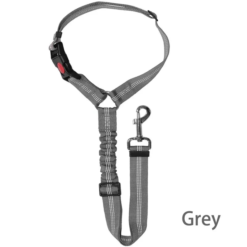 Ceinture chien voiture 2 en 1, coloris gris