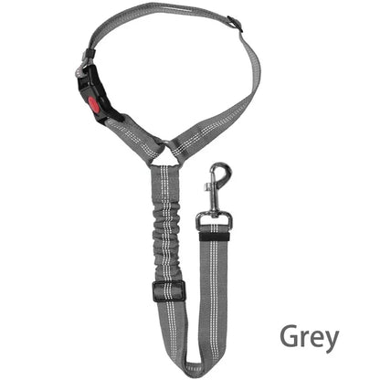 Ceinture chien voiture 2 en 1, coloris gris