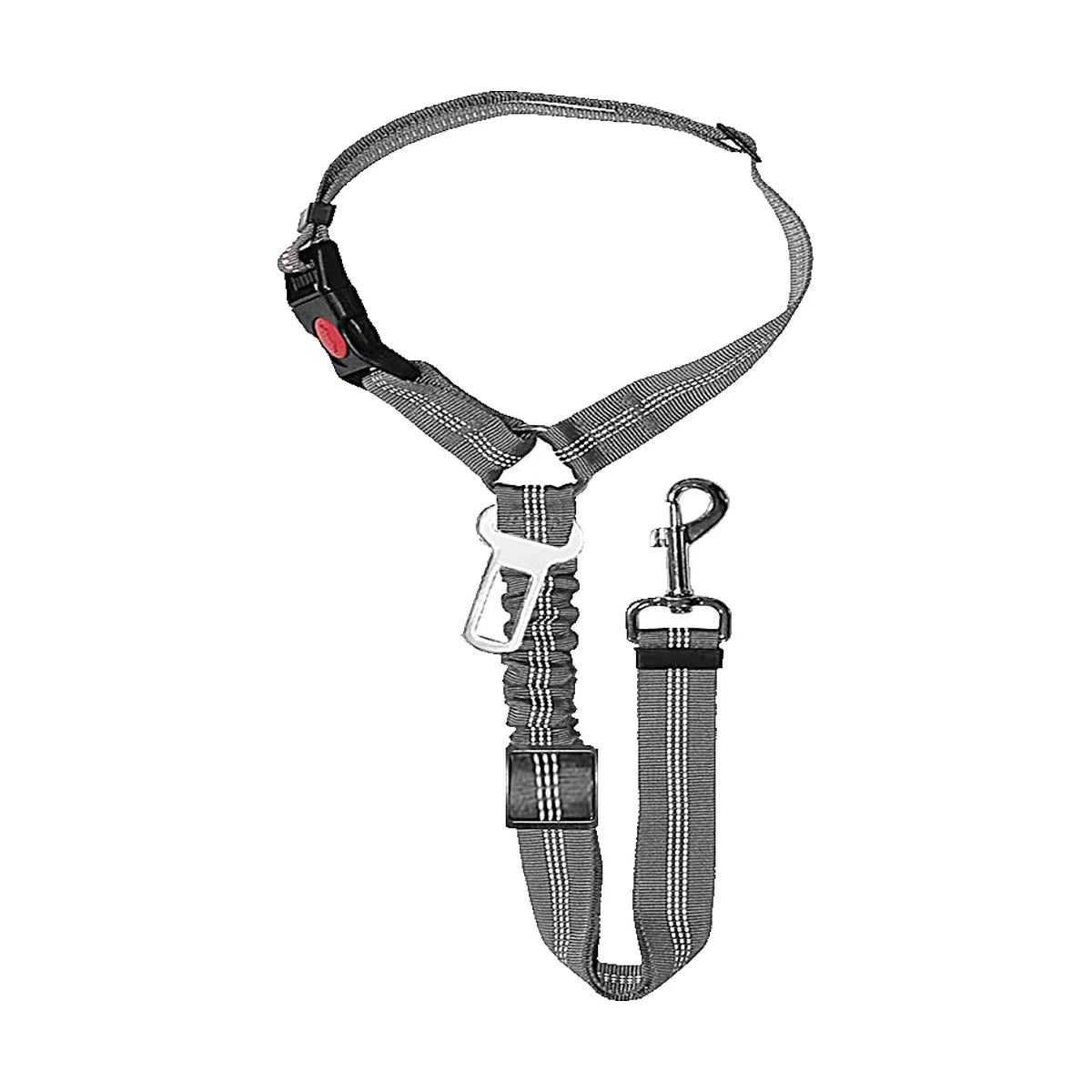 Ceinture chien voiture 2 en 1, coloris gris