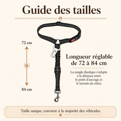 ceinture chien voiture 2 en 1 guide des tailles