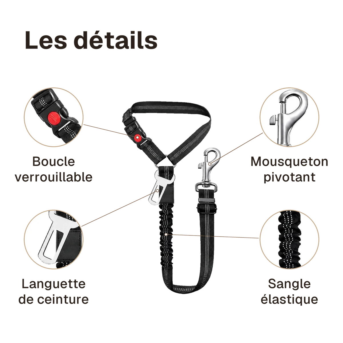 Les détails de la ceinture chien voiture 2 en 1 : boucle verrouillable, languette de ceinture, sangle élastique, mousqueton pivotant