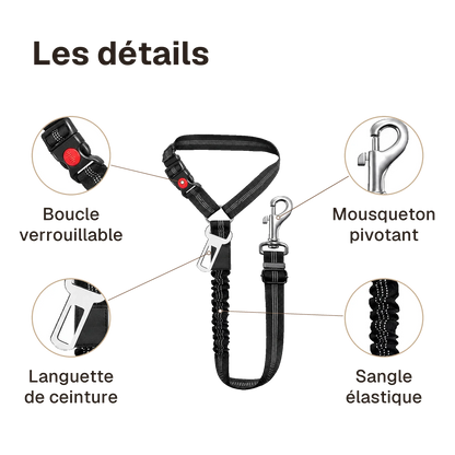 Les détails de la ceinture chien voiture 2 en 1 : boucle verrouillable, languette de ceinture, sangle élastique, mousqueton pivotant