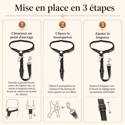 ceinture chien voiture 2 en 1 mise en place 3 etapes