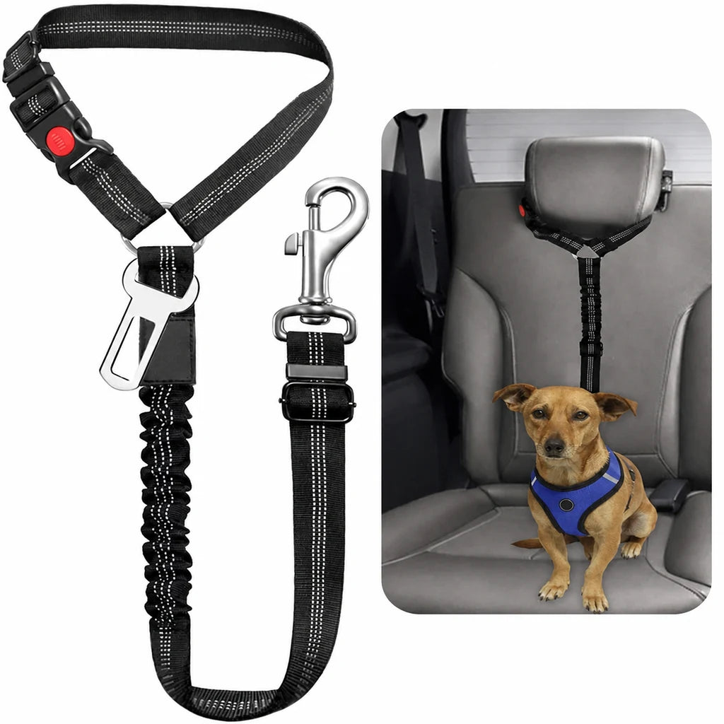 Ceinture chien voiture 2 en 1 noire, chien attaché à l'arrière