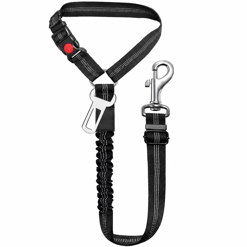 Ceinture chien voiture 2 en 1 coloris noir, zoom sur la sangle élastique