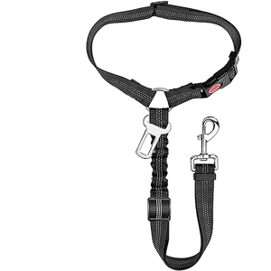 Ceinture chien voiture 2 en 1, coloris noir avec laisse élastique