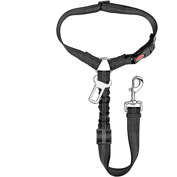 Ceinture chien voiture 2 en 1, coloris noir avec laisse élastique