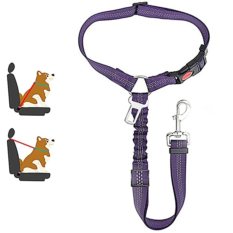 Ceinture chien voiture 2 en 1, coloris violet