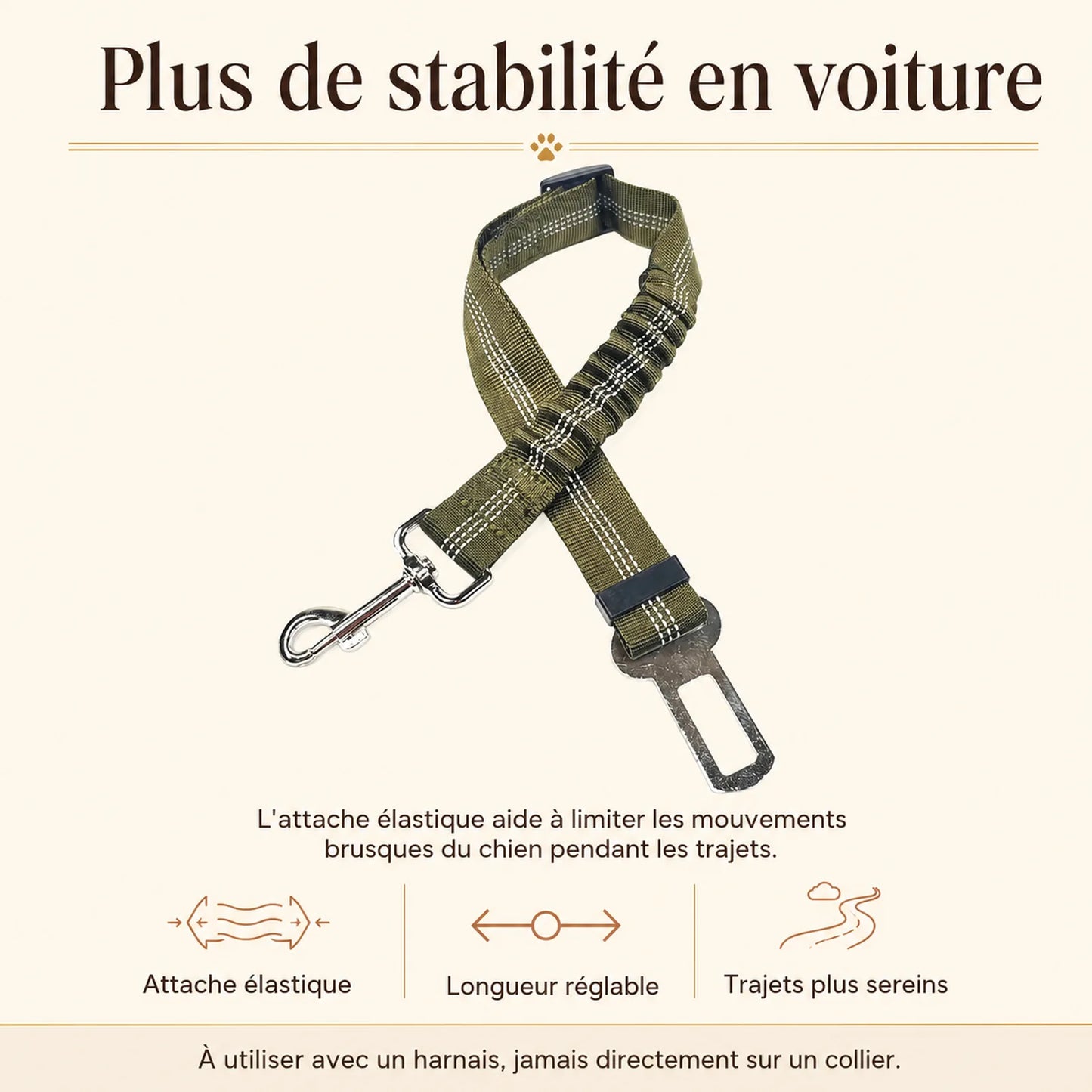 ceinture chien voiture elastique benefice principal