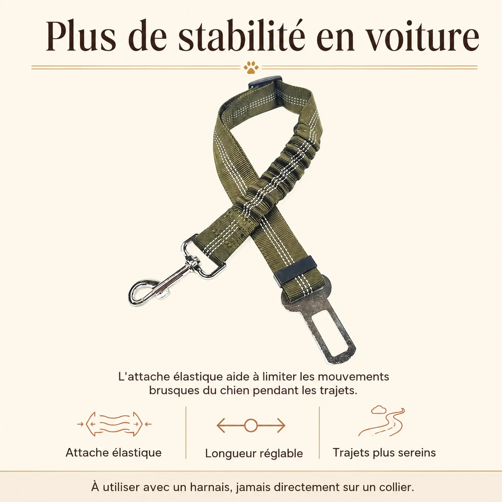 ceinture chien voiture elastique benefice principal